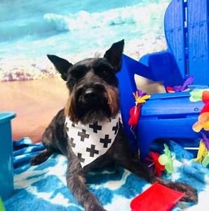 Meet your Posher, Gloria